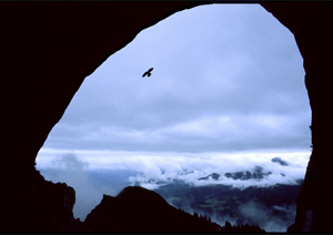 CONTAREX, DISTAGON 2,8/25